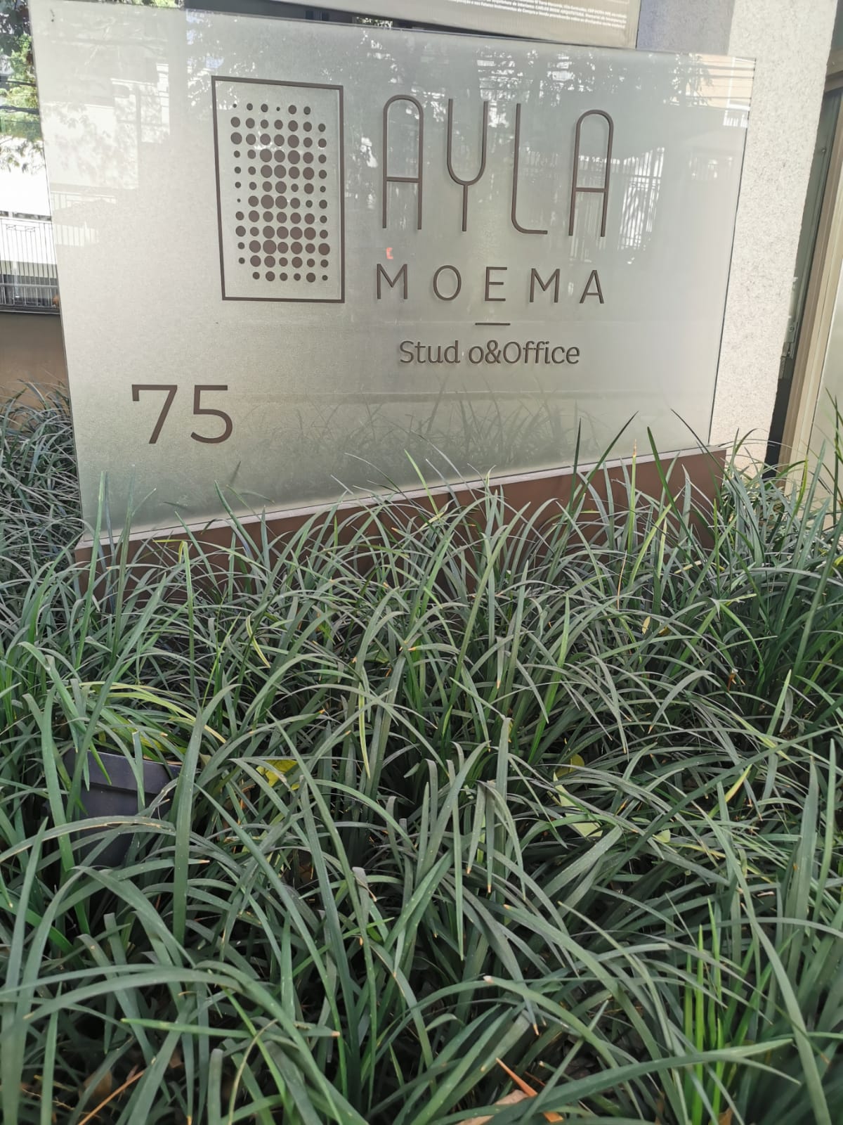 2024.06.18_Placa Ayla.jpeg